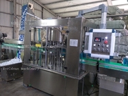 Middle Scale 5000BPH 500ml Windshield Washer Fluid Filling Machine chemical liquid bottling machine
